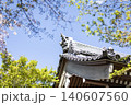 春のお寺の境内に咲くソメイヨシノの花と瓦屋根 140607560