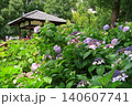 神社仏閣　京都　藤森神社　勝ち馬　馬　あじさい　紫陽花　苑　梅雨　花 140607741