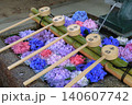 神社仏閣　京都　藤森神社　勝ち馬　馬　あじさい　紫陽花　苑　梅雨　花 140607742