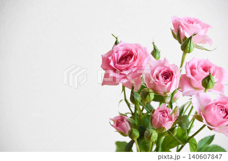ピンクの薔薇 140607847