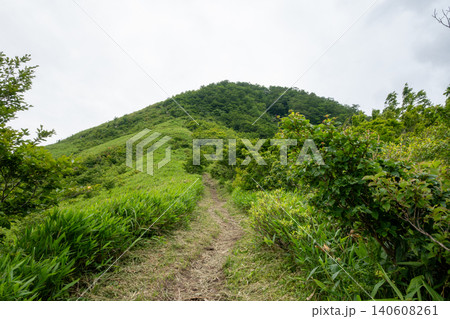 日本の岡山県真庭市の下蒜山の美しい風景 日本の岡山県真庭市の下蒜山の美しい風景 140608261