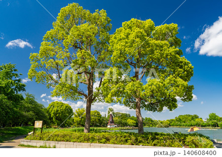 新緑の浮間公園と風車のある風景 新緑の浮間公園と風車のある風景 140608400