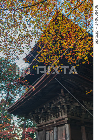 滋賀湖東三山 金剛輪寺 三重の秋景色 滋賀湖東三山 金剛輪寺 三重の秋景色 140608406