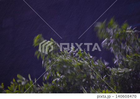 豪雨をもたらした台風の通過 豪雨をもたらした台風の通過 140608470