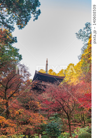 滋賀湖東三山 金剛輪寺 三重塔の秋景色 滋賀湖東三山 金剛輪寺 三重塔の秋景色 140608509