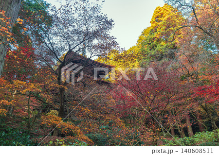 滋賀湖東三山 金剛輪寺 三重塔の秋景色 140608511
