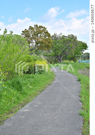 岩槻散歩:元荒川遊歩道 岩槻散歩:元荒川遊歩道 140608677