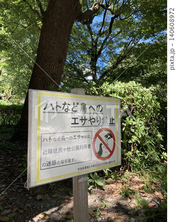公園に設置された「ハトへのエサやり禁止」の注意看板 140608972