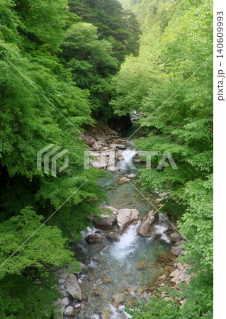 柿其渓谷・かきぞれけいこく(長野県・南木曽町) 柿其渓谷・かきぞれけいこく(長野県・南木曽町) 140609993