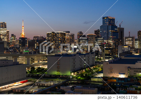 東京タワーと東京湾岸の都市夜景 東京タワーと東京湾岸の都市夜景 140611736
