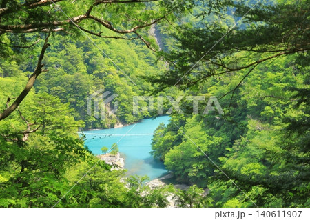 新緑の緑に覆われた寸又峡夢の吊橋の美しい景色 140611907