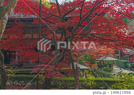 滋賀湖東三山 金剛輪寺の秋景色 滋賀湖東三山 金剛輪寺の秋景色 140611998