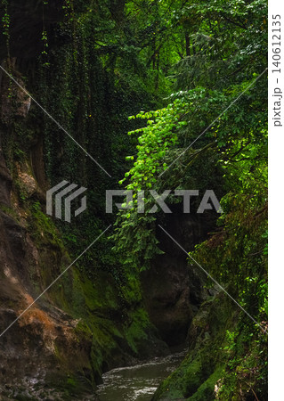 Moss clings to ancient stone walls, vertical view. Moss clings to ancient stone walls, vertical view. 140612135