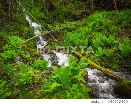 Waterfall or stream in the forest Waterfall or stream in the forest 140612160