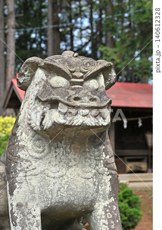 岩槻散歩:篠岡八幡大神社 狛犬 岩槻散歩:篠岡八幡大神社 狛犬 140612328