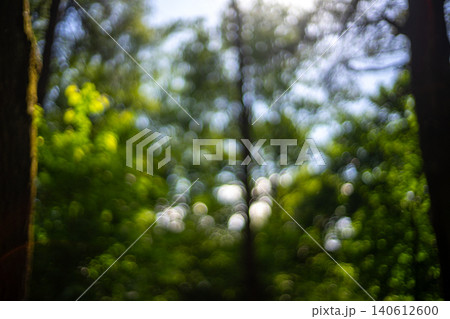 Forest Trees Bokeh Dark Green Nature Background Photo 140612600