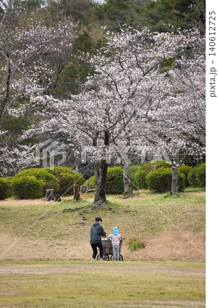 春の桜満開の公園で花見する男性保育士と園児たちの姿 春の桜満開の公園で花見する男性保育士と園児たちの姿 140612725