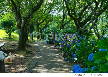 都城市あじさい公園　R8年 140612860