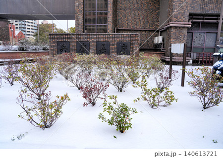 珍しく雪化粧となった「兵庫県庁舎」の様子 珍しく雪化粧となった「兵庫県庁舎」の様子 140613721