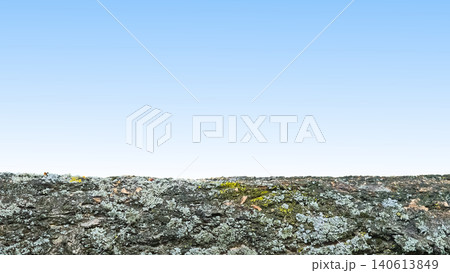 Blue sky gradient with wrinkled trunk bark of tree 140613849