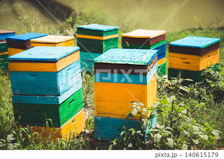 Apiary and beekeeping. Colorful wooden old beehives surrounded by vegetation. Close up Apiary and beekeeping. Colorful wooden old beehives surrounded by vegetation. Close up 140615179