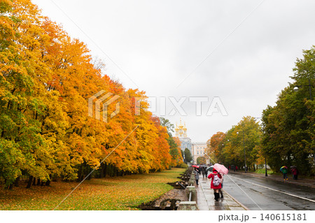 People walking on the sidewalk with umbrellas, against the background of the Avenue of autumn Park. Autumn season. Copy space People walking on the sidewalk with umbrellas, against the background of the Avenue of autumn Park. Autumn season. Copy space 140615181
