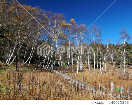 【山の風景】長野県・入笠山・晩秋の入笠湿原 【山の風景】長野県・入笠山・晩秋の入笠湿原 140615898