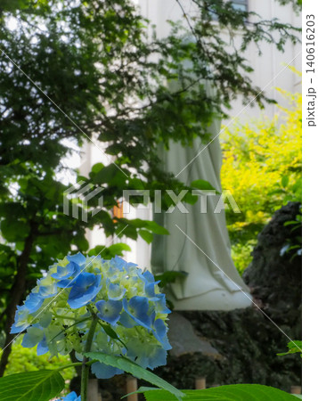 横浜西洋館の庭に咲く青い紫陽花 横浜西洋館の庭に咲く青い紫陽花 140616203