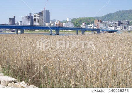 大田川放水路河川敷の景色 大田川放水路河川敷の景色 140616278