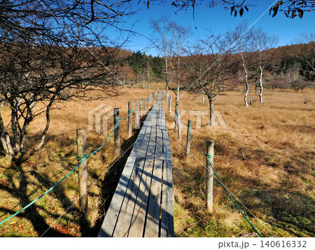 【山の風景】長野県・入笠山・晩秋の大阿原湿原 【山の風景】長野県・入笠山・晩秋の大阿原湿原 140616332