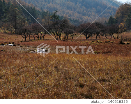 【山の風景】長野県・入笠山・晩秋の大阿原湿原 【山の風景】長野県・入笠山・晩秋の大阿原湿原 140616336
