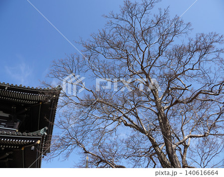 冬の青空とお寺の塔の風景 冬の青空とお寺の塔の風景 140616664
