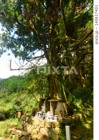 捻木の杉(役ノ行者像) 【和歌山県田辺市】 捻木の杉(役ノ行者像) 【和歌山県田辺市】 140617401