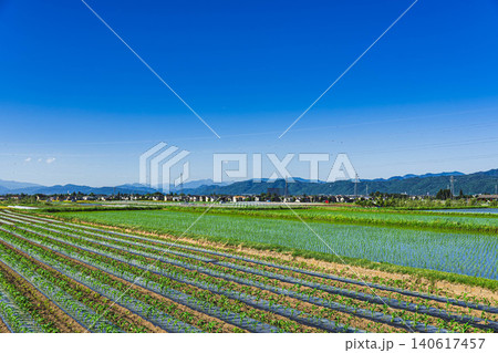 青空広がるのどかな田園風景と畑( 青空広がるのどかな田園風景と畑( 140617457
