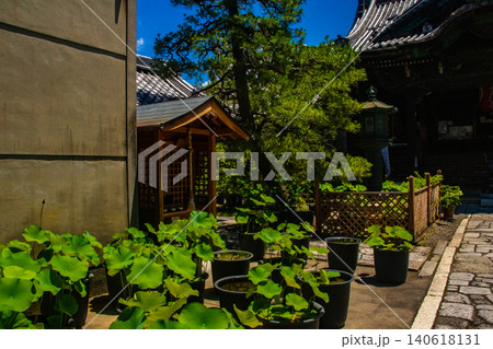 行願寺 七福神の寿老神のご利益:健康長寿,病気平癒,財運,福寿吉運 行願寺 七福神の寿老神のご利益:健康長寿,病気平癒,財運,福寿吉運 140618131