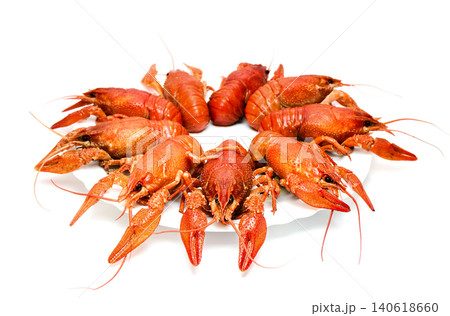 Boiled crawfish on white background Boiled crawfish on white background 140618660