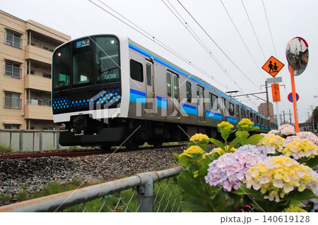 紫陽花とE131系800番台。 紫陽花とE131系800番台。 140619128