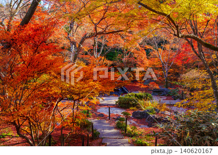 京都　宝筐院の紅葉 140620167