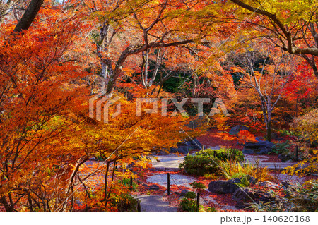 京都 宝筐院の紅葉 京都 宝筐院の紅葉 140620168