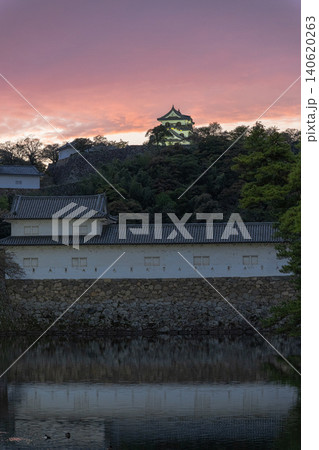夕日に染まる彦根城 夕日に染まる彦根城 140620263