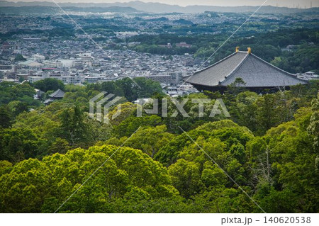 若草山から望む東大寺大仏殿 140620538