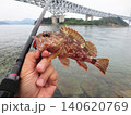休日に趣味のルアー釣りで根魚のカサゴを釣り上げた写真 休日に趣味のルアー釣りで根魚のカサゴを釣り上げた写真 140620769