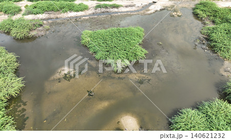 Pond Neltuma juliflora Prosopis wetland environment aerial view marsh swamps area semi-aquatic brackish or saltwater salt tolerant plants tidal marshes shorelines habitat restoration coastal muddy Pond Neltuma juliflora Prosopis wetland environment aerial view marsh swamps area semi-aquatic brackish or saltwater salt tolerant plants tidal marshes shorelines habitat restoration coastal muddy 140621232