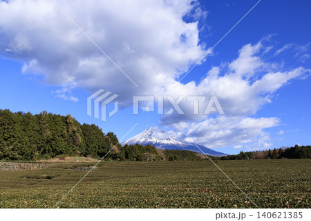 茶畑から望む富士山 茶畑から望む富士山 140621385