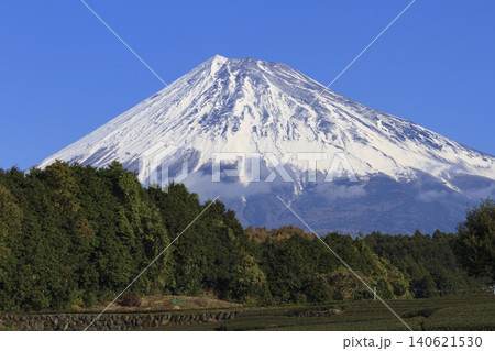 茶畑から望む富士山 茶畑から望む富士山 140621530