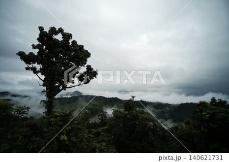 Beautiful silhouette mountains with mist and foggy cloud on valley hill with greenery forest in Thailand 140621731