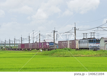 成田線 滑河-下総神崎 JR貨物 EF65-2080(新鶴見) 成田線 滑河-下総神崎 JR貨物 EF65-2080(新鶴見) 140621894