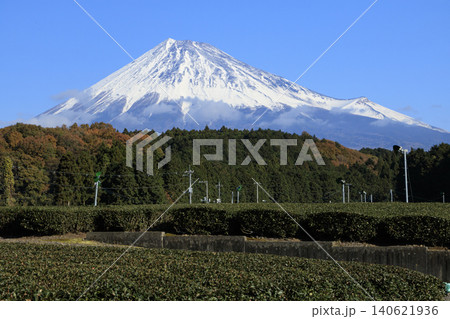 茶畑から望む富士山 茶畑から望む富士山 140621936