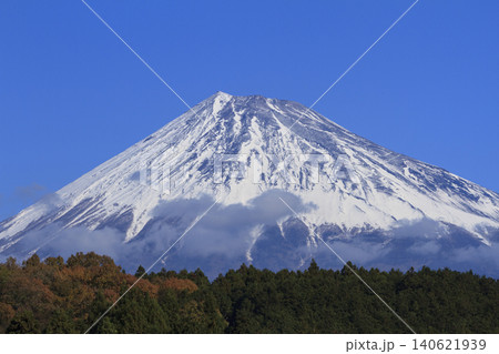 茶畑から望む富士山 茶畑から望む富士山 140621939