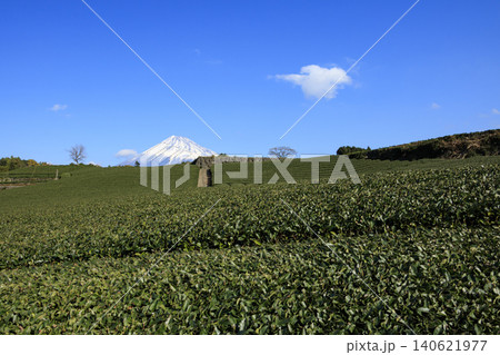 茶畑から望む富士山 茶畑から望む富士山 140621977